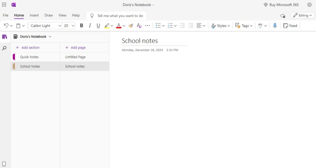 Microsoft OneNote